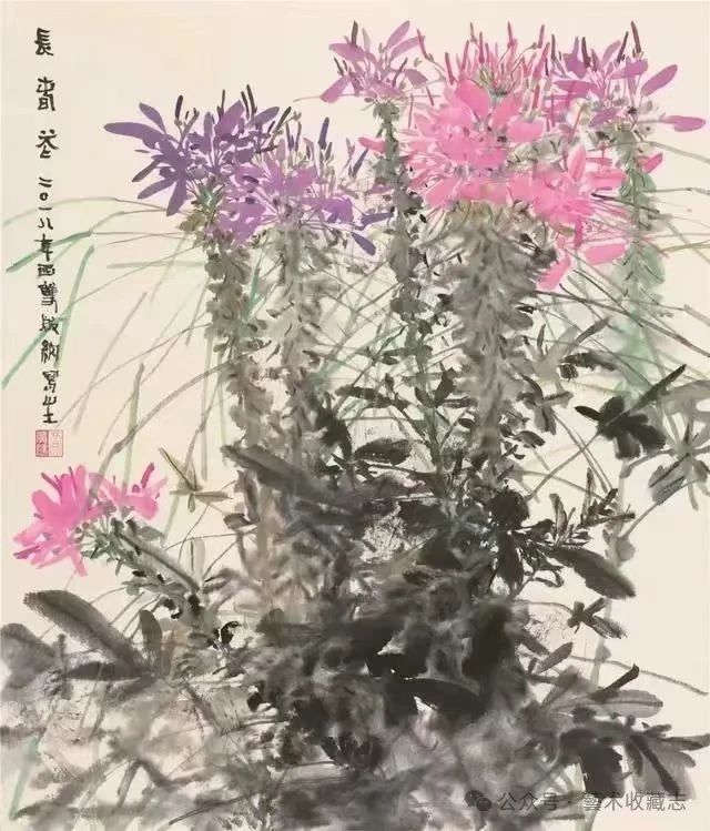 圖片