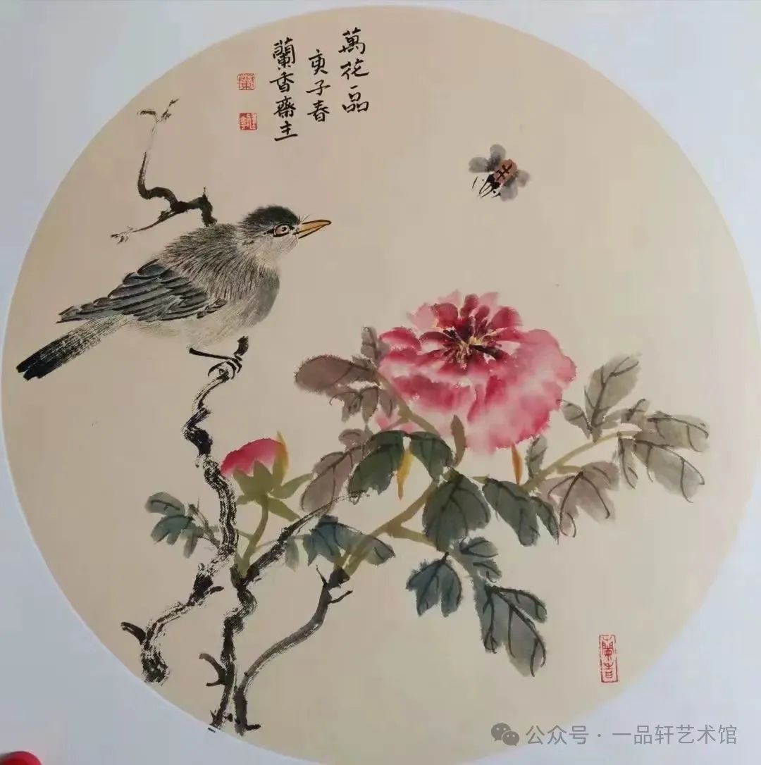圖片