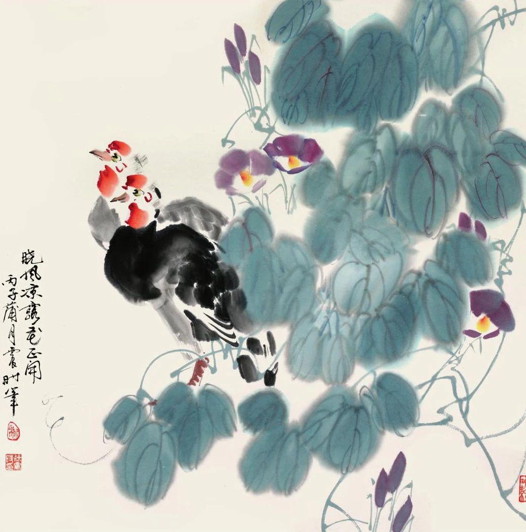 圖片
